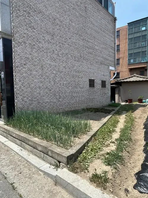 텃밭과 건물 사이 경계 설치 전