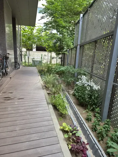 화단 옆 보행로 울타리 설치 전